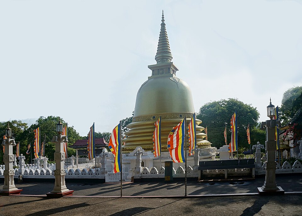 Negombo — local market for manufacturer and distributor portals