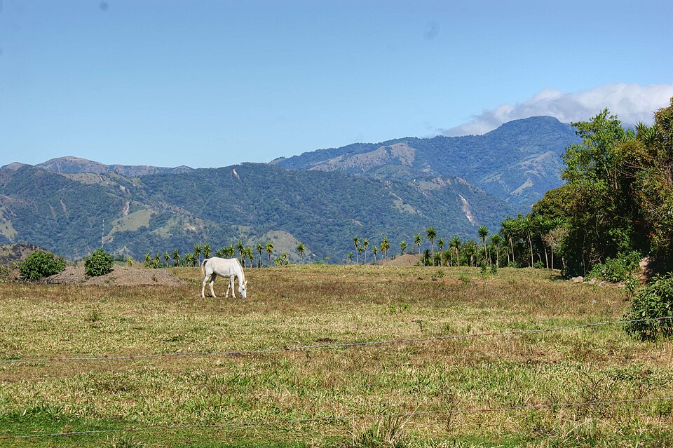 Puntarenas — local market for mobile commerce apps