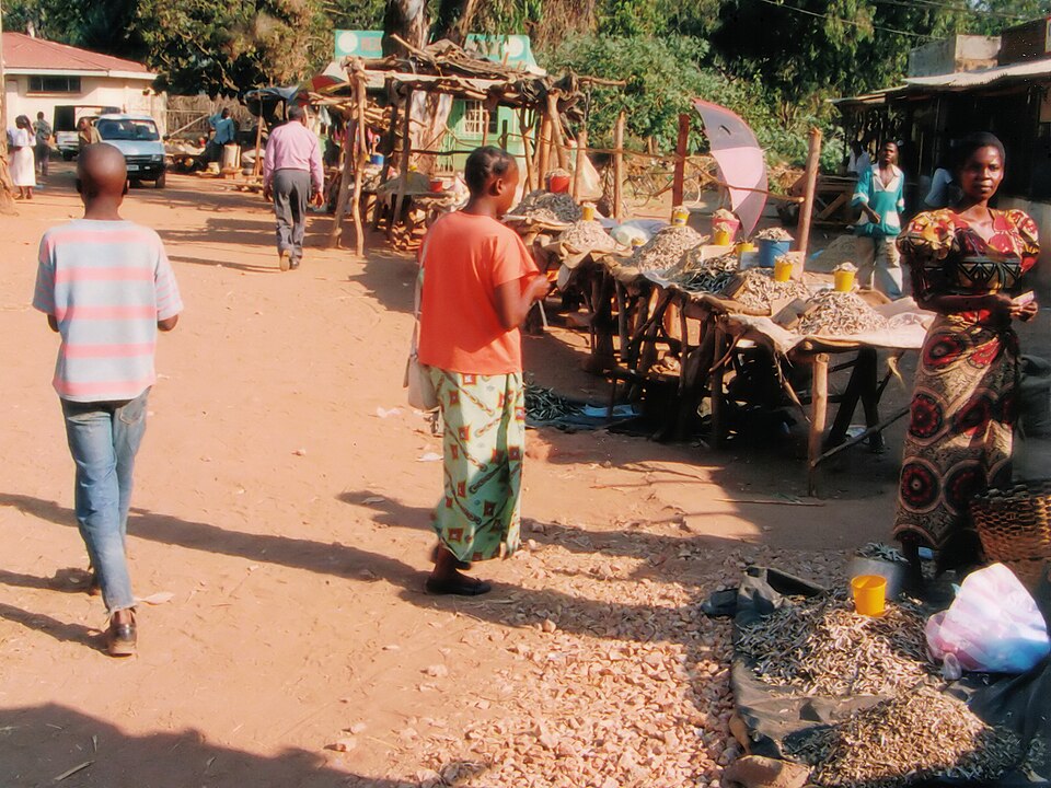 Chipata — online stores for local businesses