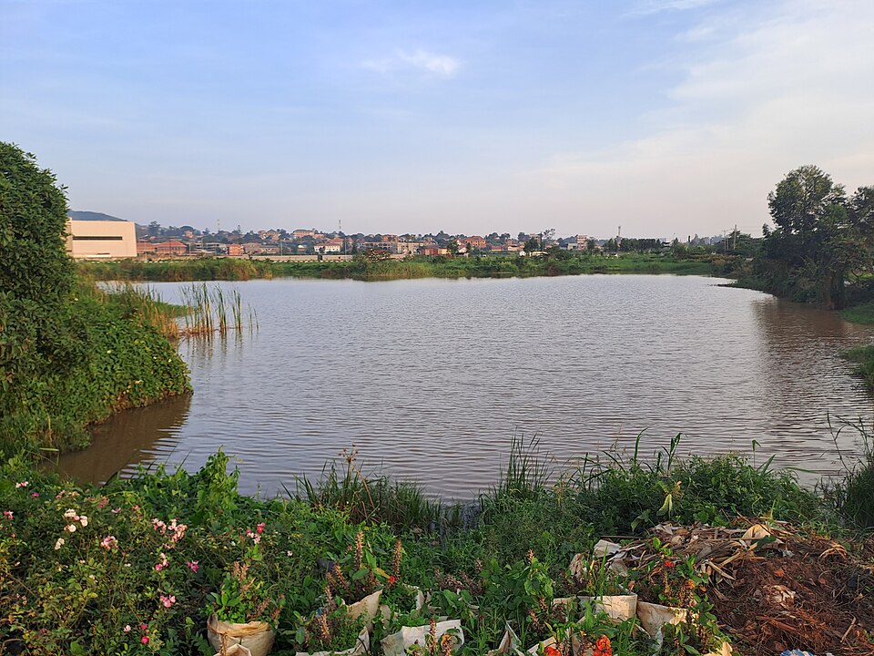 Entebbe — subscription and membership platforms for local businesses