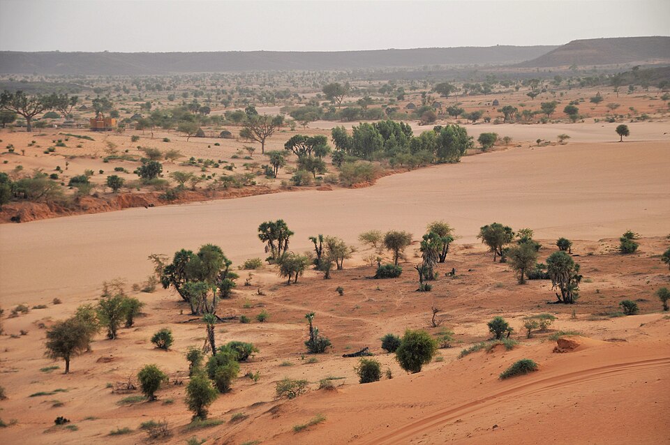 Niger — local market for custom e-commerce platforms