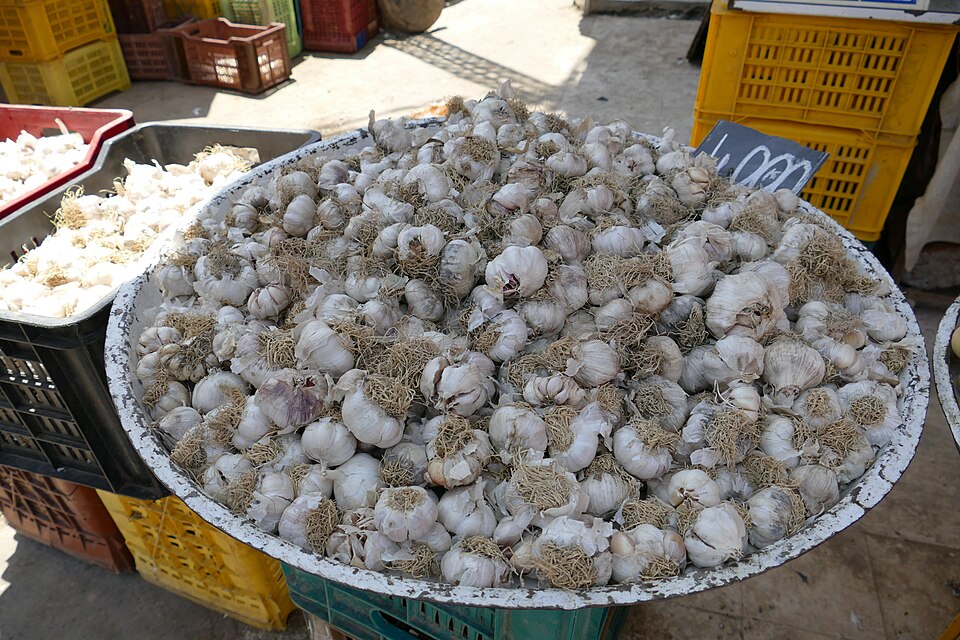 Bizerte — local market for custom e-commerce platforms