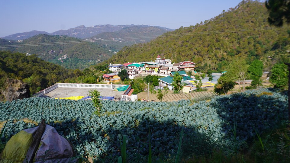 Solan — local market for international and multi-region stores