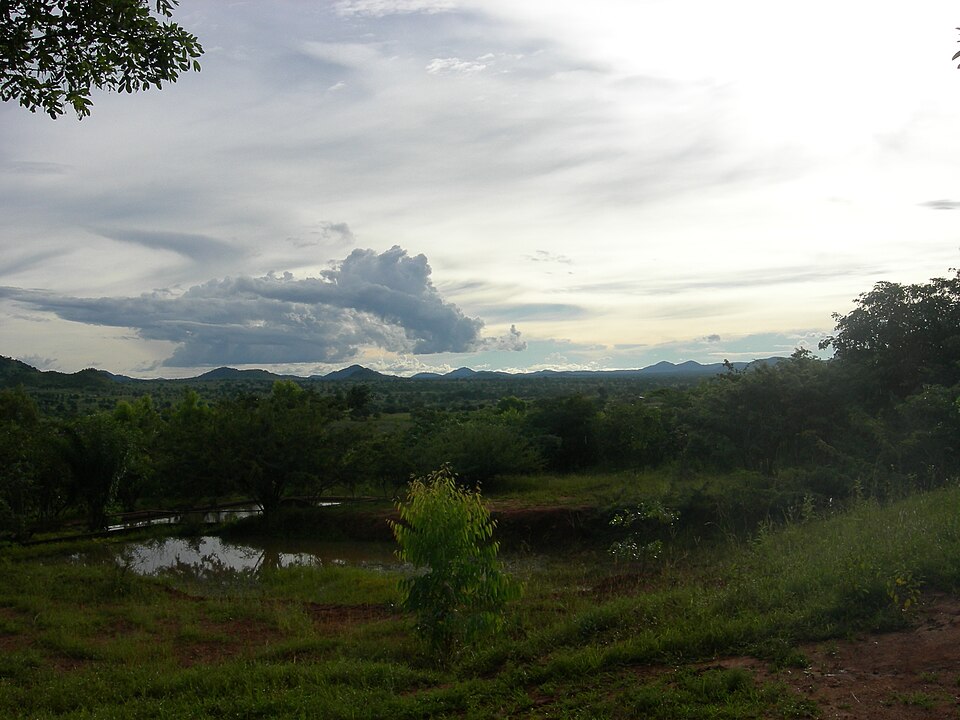 Malawi — local market for multi-vendor marketplaces