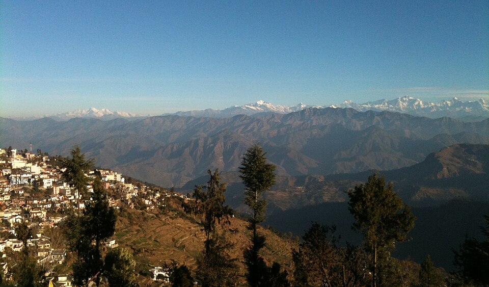 Pauri — international and multi-region stores for local businesses