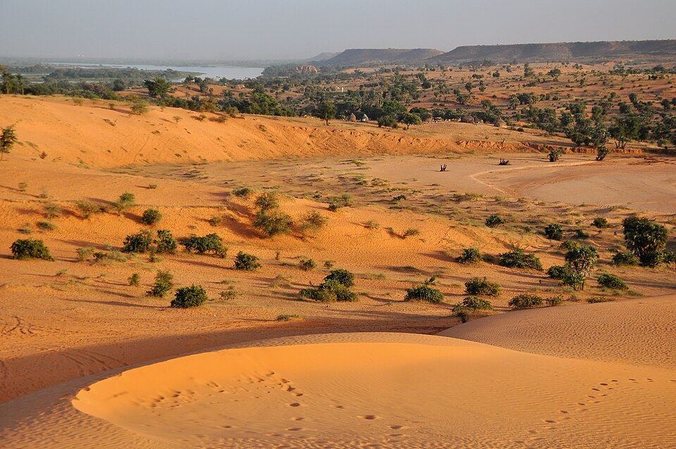 Niger — multi-vendor marketplaces for local businesses