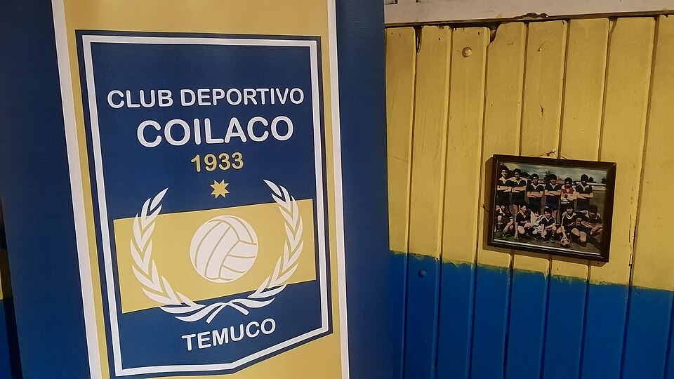 Temuco — local market for multi-vendor marketplaces