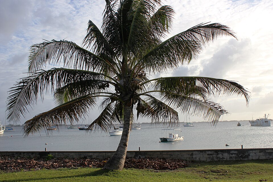 Majuro — manufacturer and distributor portals for local businesses