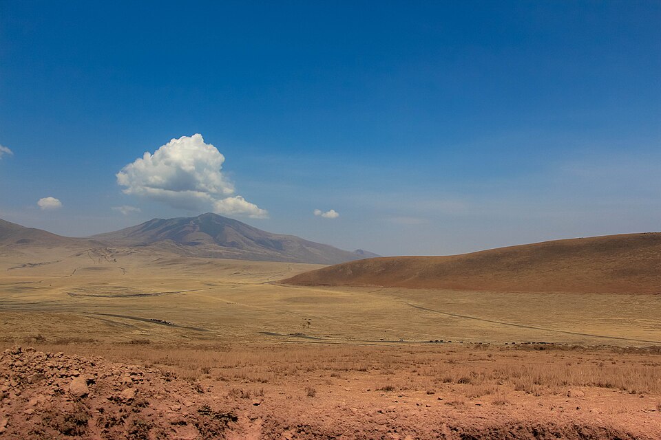 Tanzania — local market for online stores