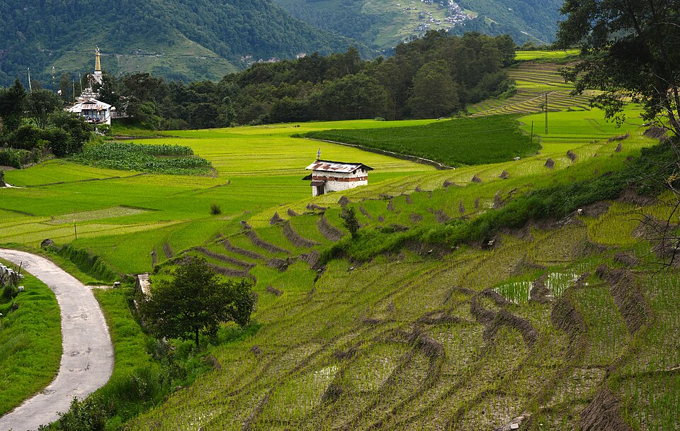 Ziro — manufacturer and distributor portals for local businesses