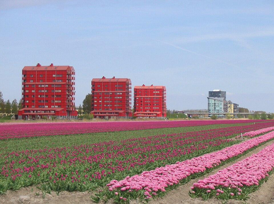 Almere — local market for international and multi-region stores