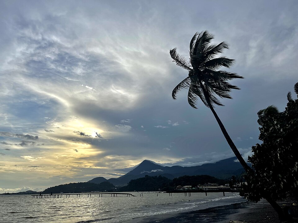 Limbe — B2B and wholesale portals for local businesses
