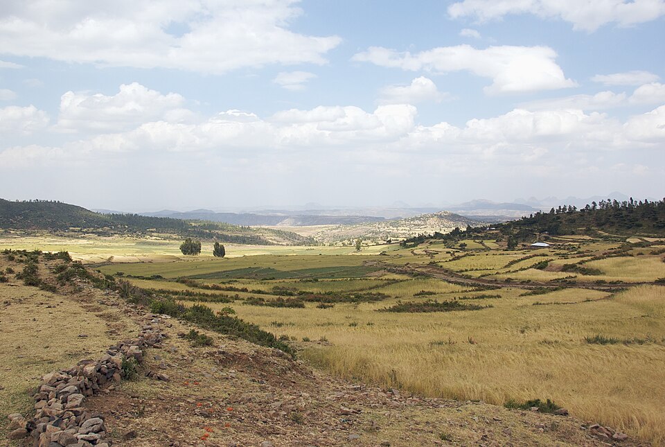 Ethiopia — local market for subscription and membership platforms