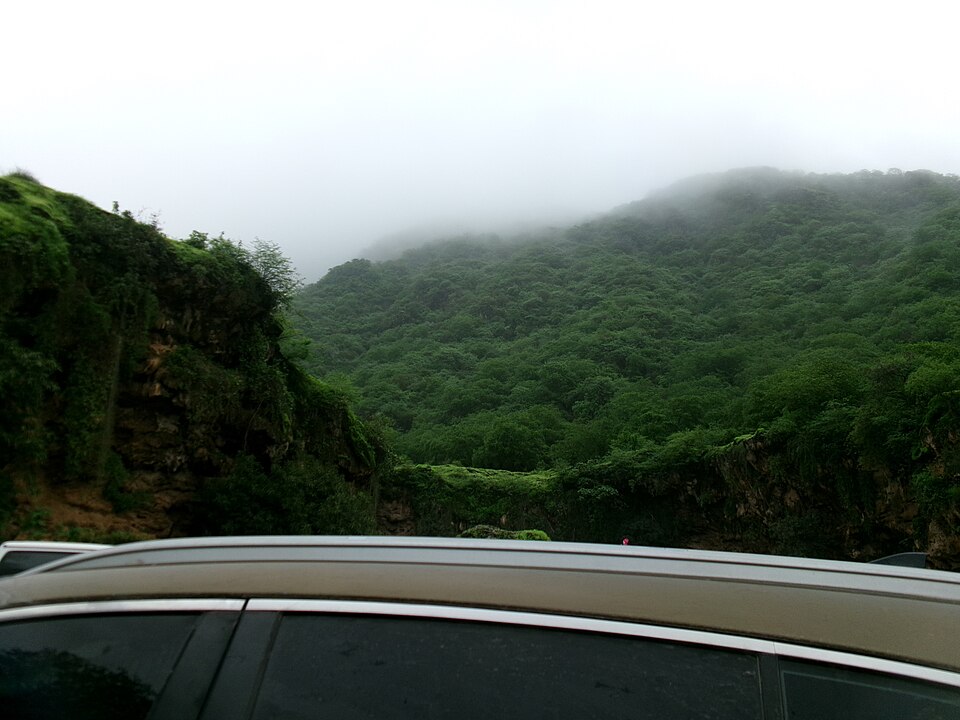 Salalah — manufacturer and distributor portals for local businesses