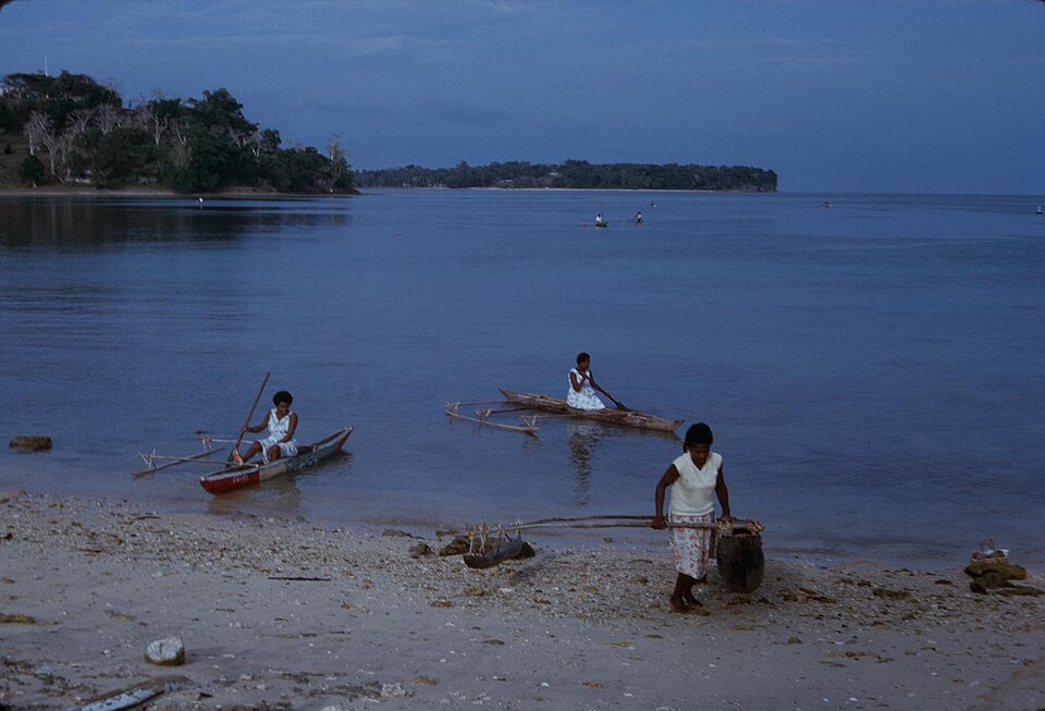Vanuatu — B2B and wholesale portals for local businesses