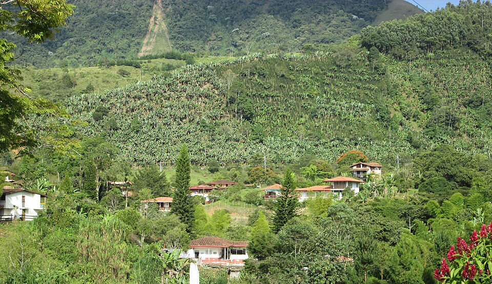 Colombia — local market for international and multi-region stores