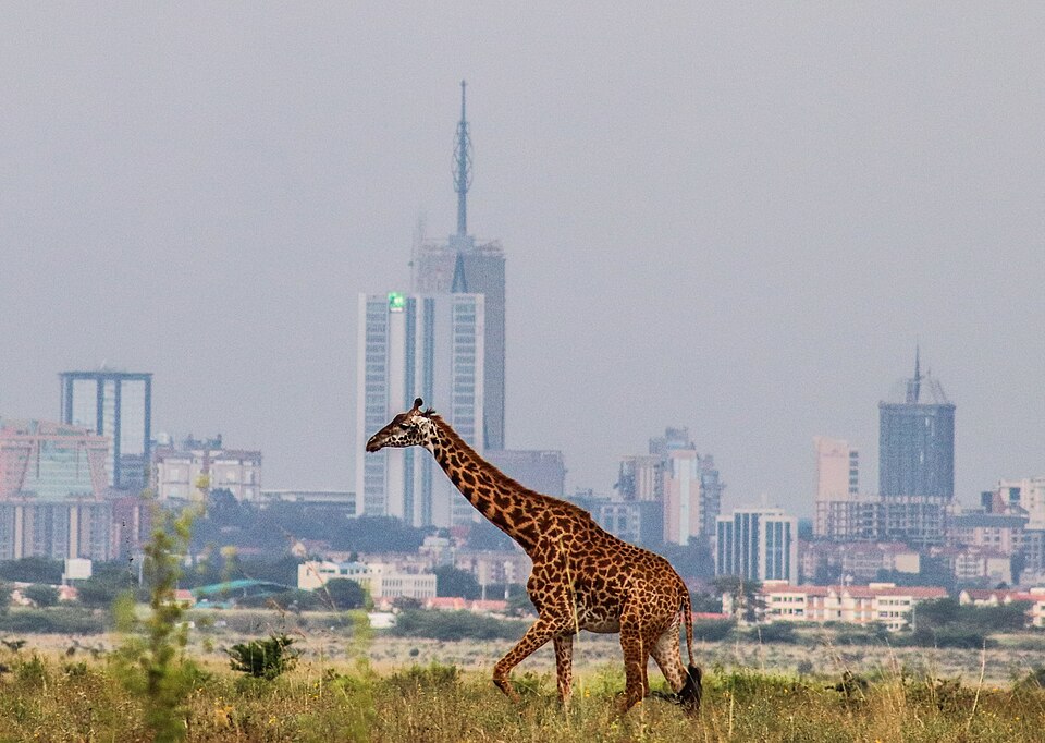 Nairobi — B2B and wholesale portals for local businesses