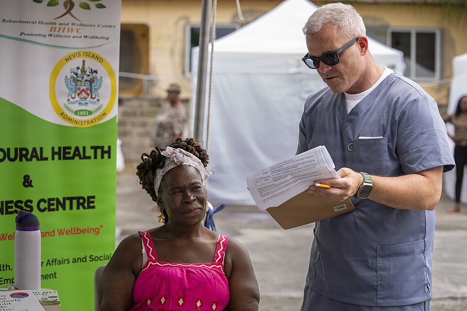 Saint Kitts and Nevis — local market for manufacturer and distributor portals