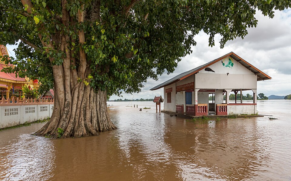 Laos — local market for mobile commerce apps