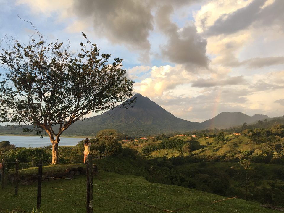 Alajuela — multi-vendor marketplaces for local businesses