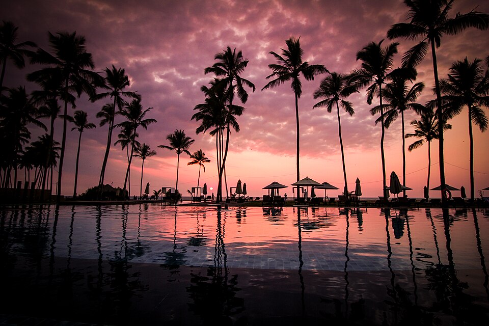 Negombo — local market for online stores