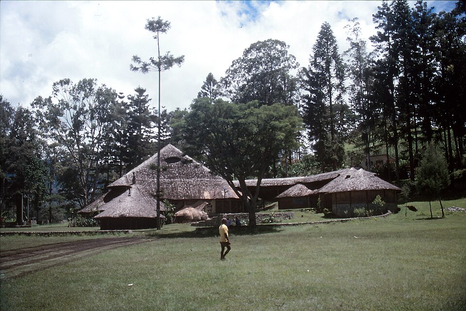 Goroka — local market for international and multi-region stores