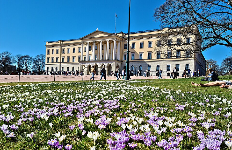 Oslo — custom e-commerce platforms for local businesses