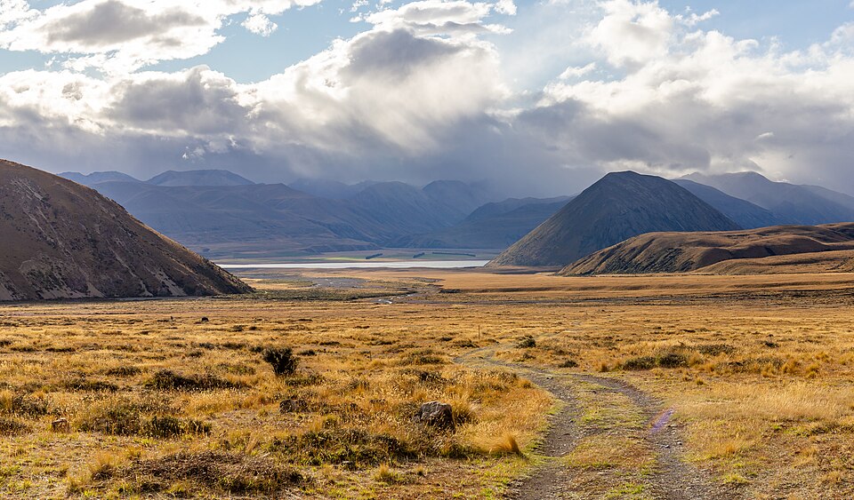 New Zealand — local market for subscription and membership platforms