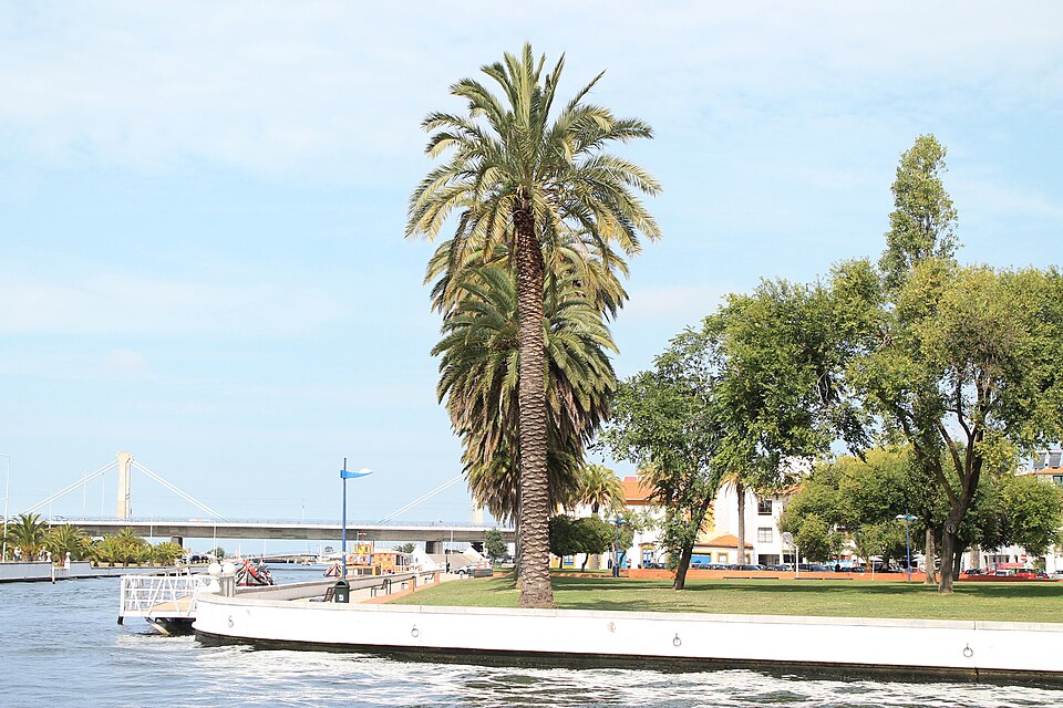Aveiro — online stores for local businesses