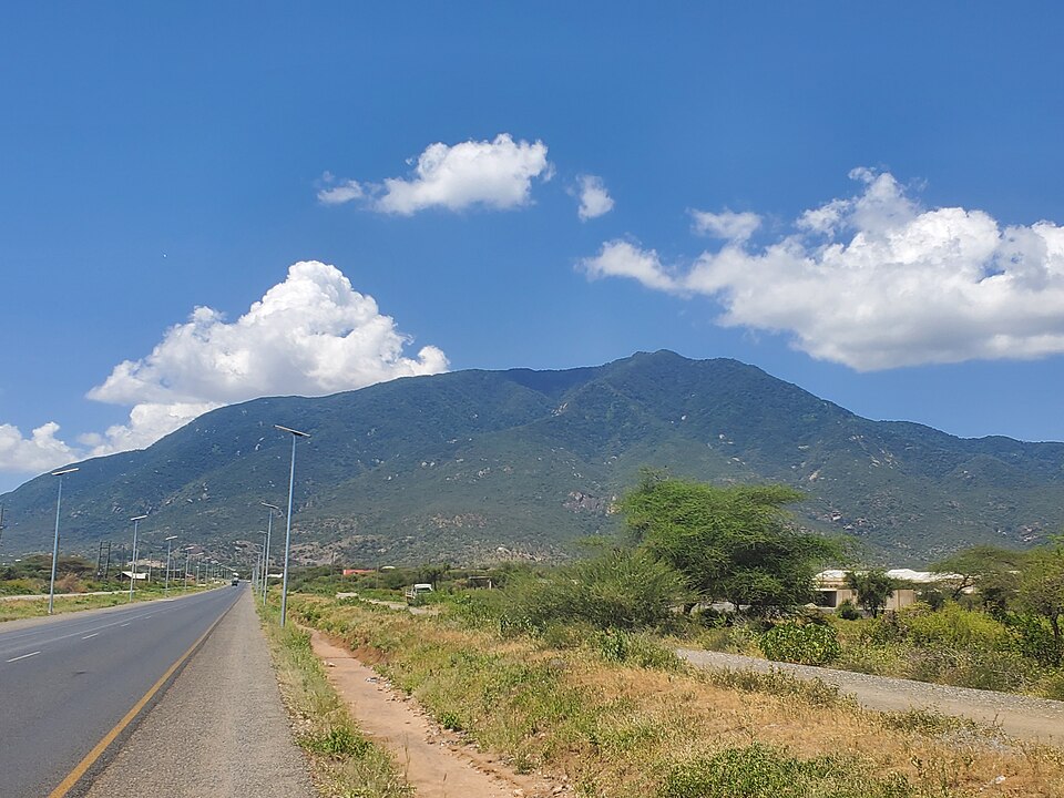 Arusha — service booking platforms for local businesses