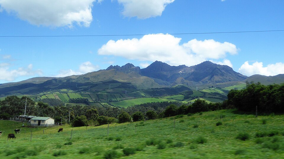 Ecuador — service booking platforms for local businesses