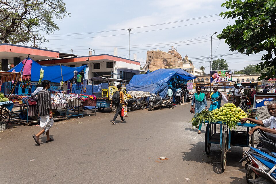 Tiruchirappalli — service booking platforms for local businesses