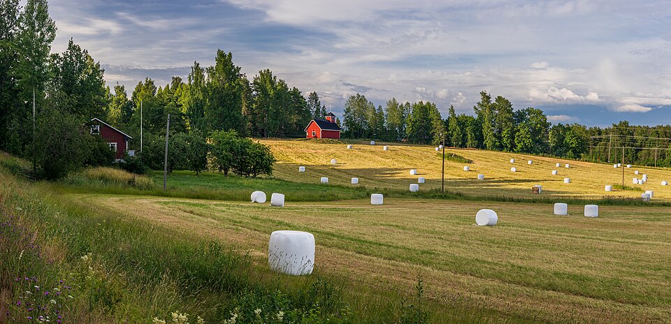 Vantaa — local market for multi-vendor marketplaces