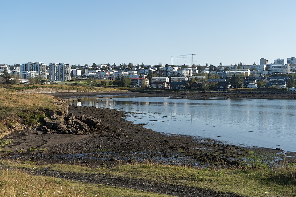Kópavogur — local market for multi-vendor marketplaces