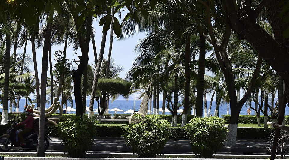 Nha Trang — local market for mobile commerce apps