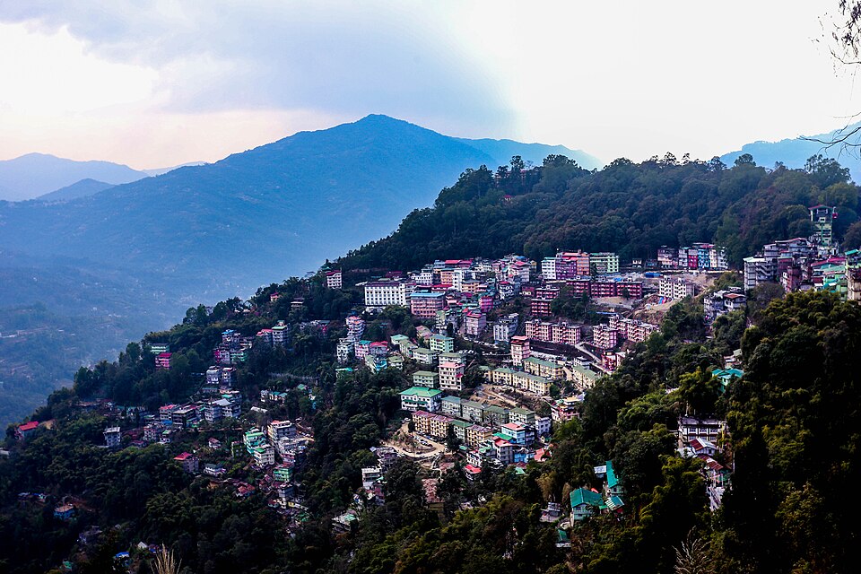 Gangtok — local market for service booking platforms