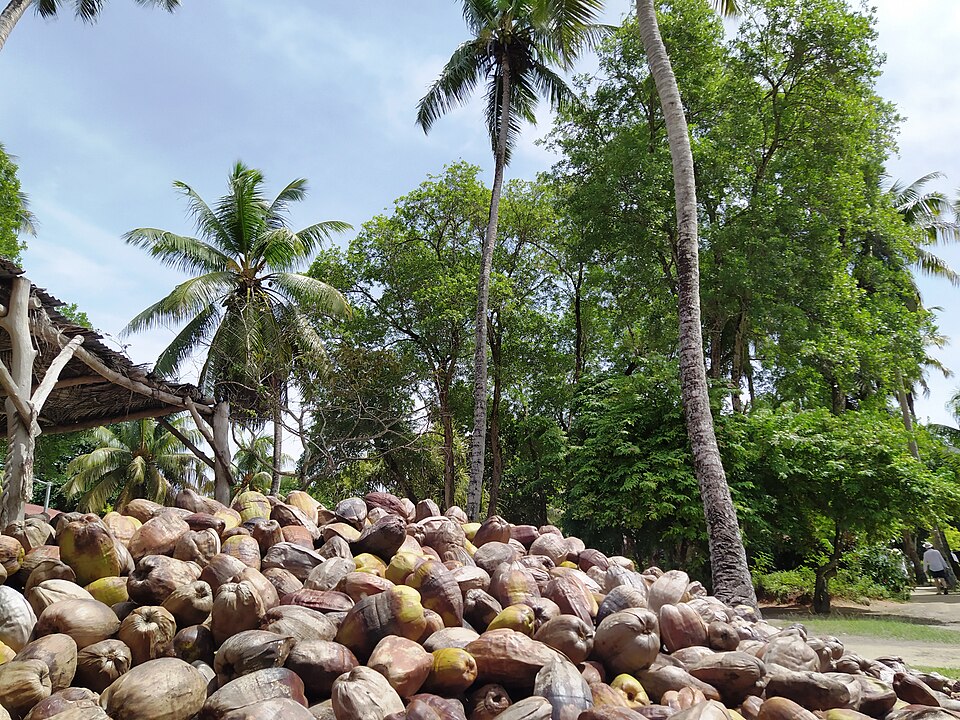 La Digue — manufacturer and distributor portals for local businesses