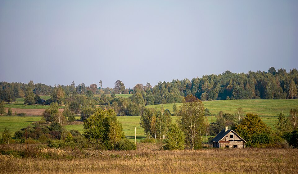 Latvia — local market for multi-vendor marketplaces