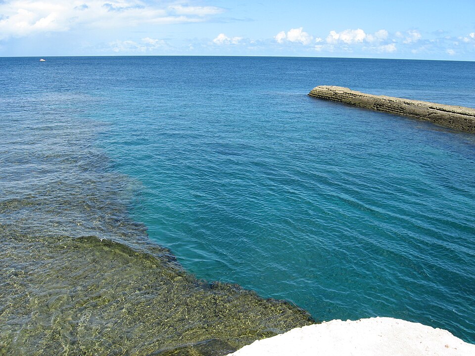 Nauru — mobile commerce apps for local businesses
