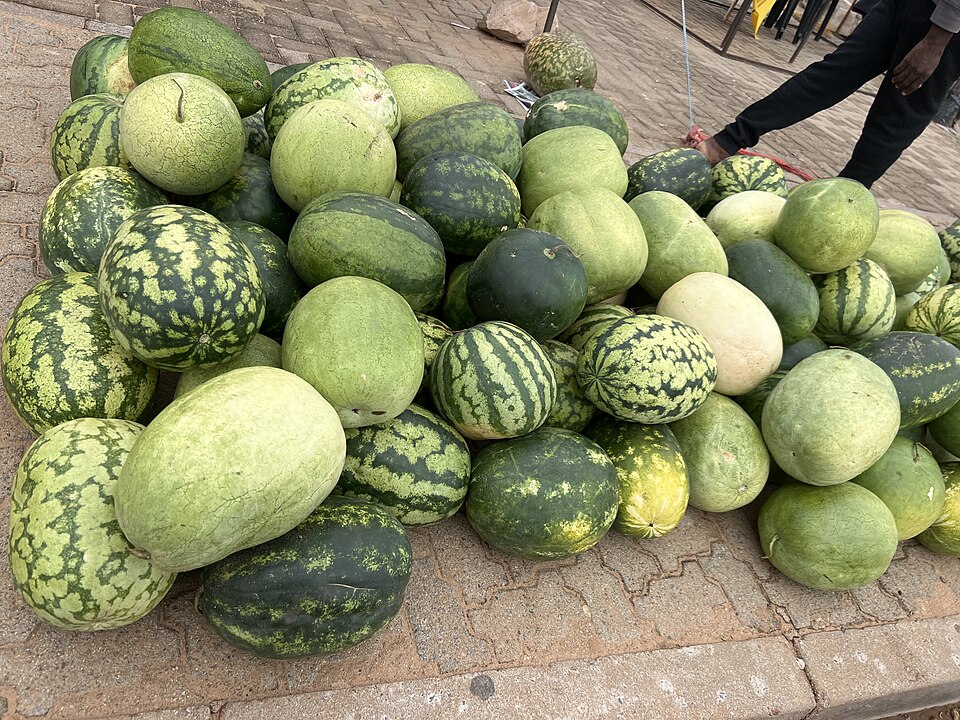 Palapye — local market for multi-vendor marketplaces