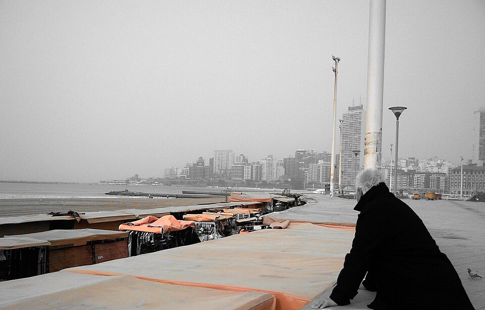 Mar del Plata — service booking platforms for local businesses
