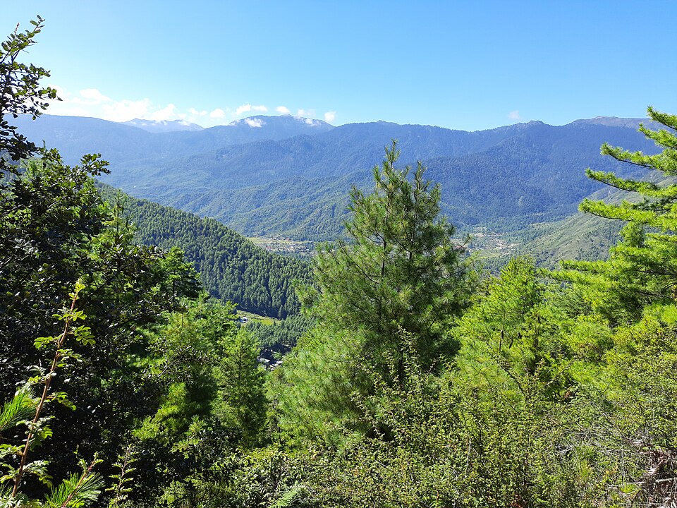 Bhutan — local market for service booking platforms