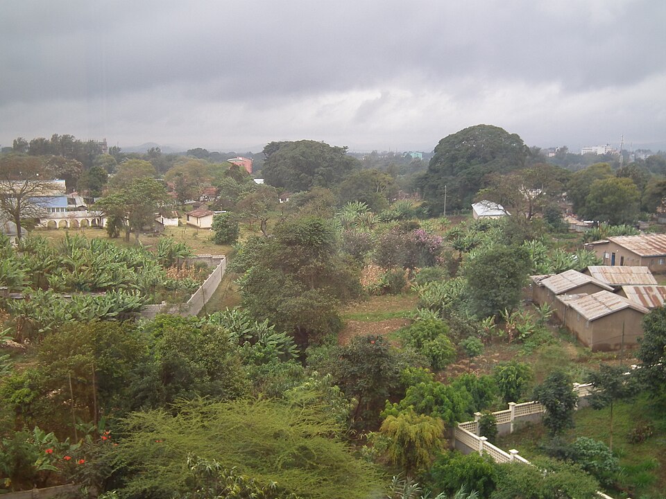 Tanzania — local market for custom e-commerce platforms