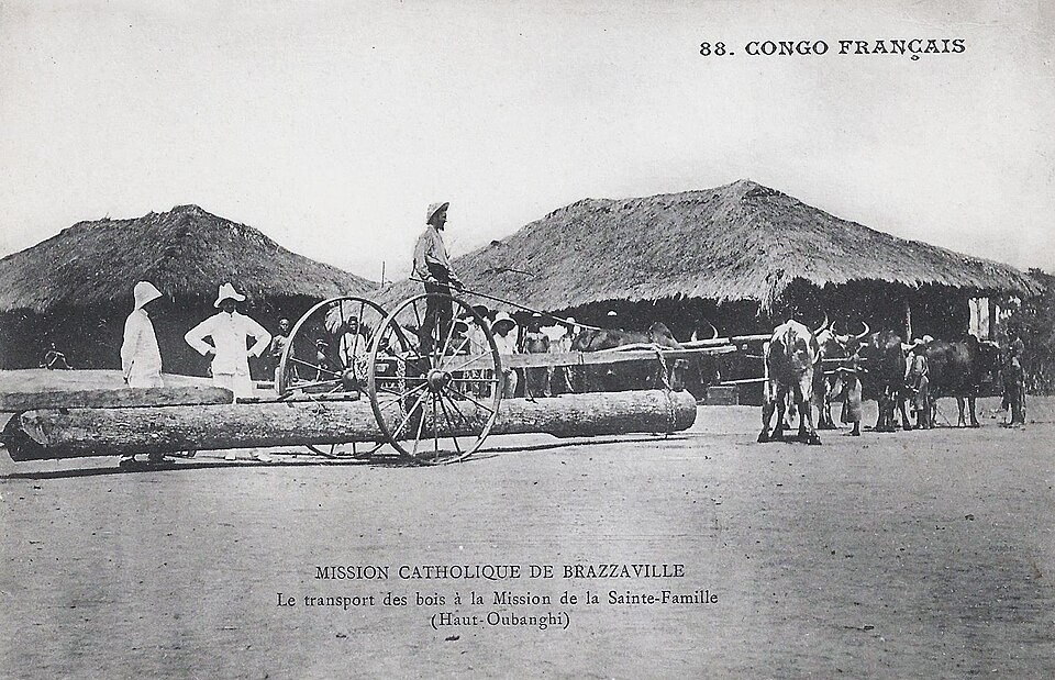 Brazzaville — local market for mobile commerce apps