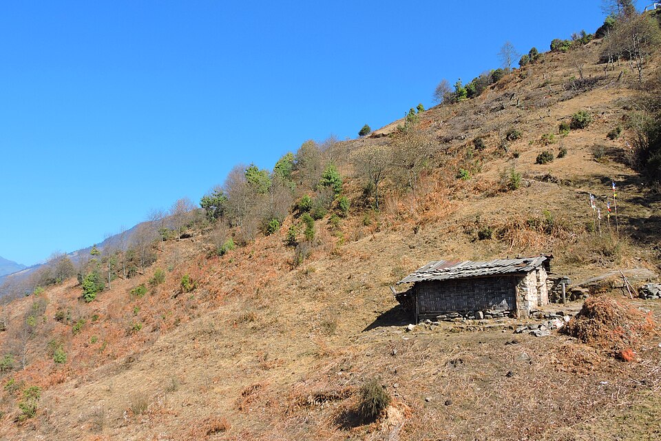 Tawang — international and multi-region stores for local businesses