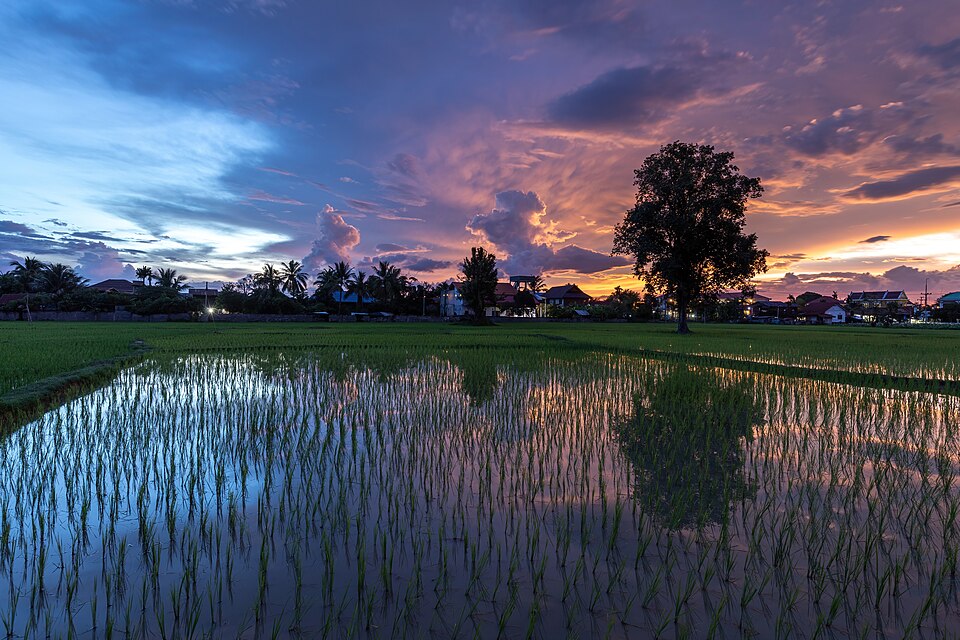 Laos — international and multi-region stores for local businesses