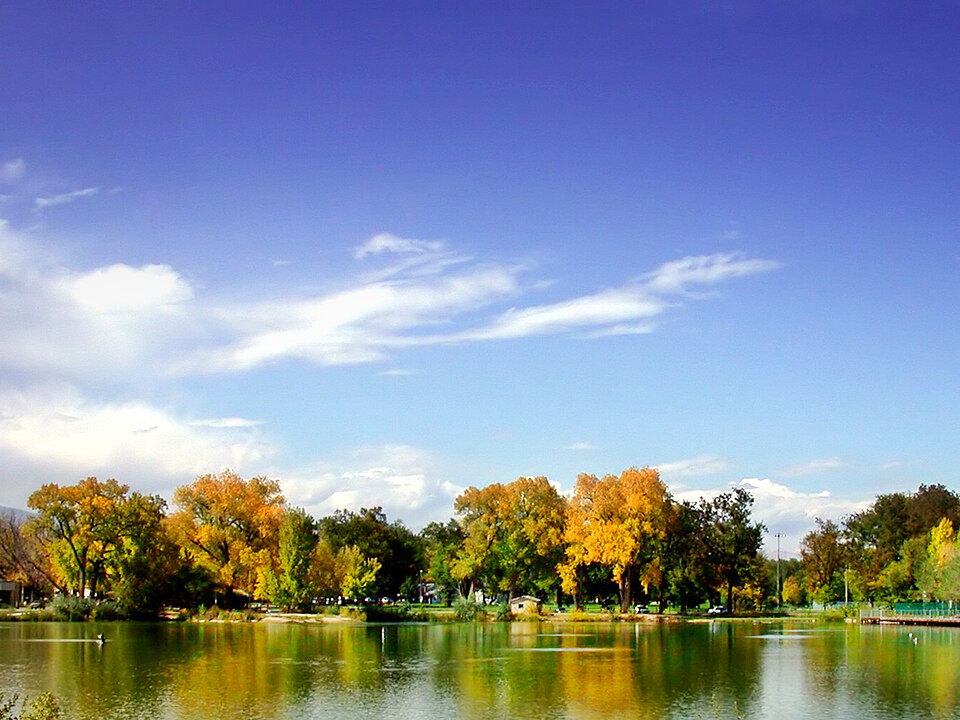 Fort Collins — multi-vendor marketplaces for local businesses