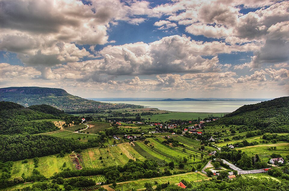 Hungary — local market for B2B and wholesale portals