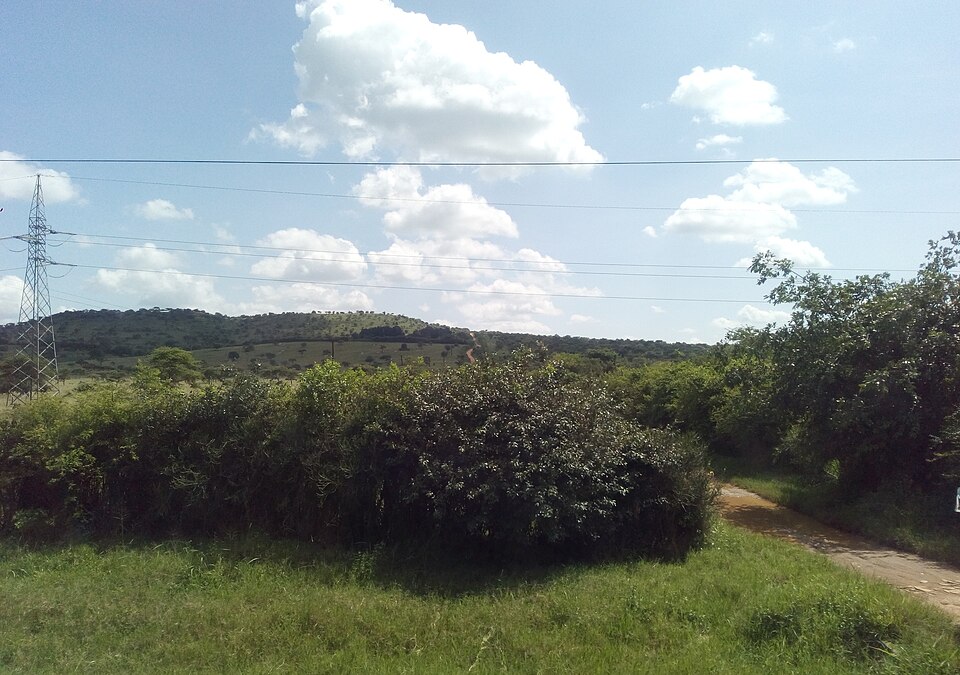 Masaka — B2B and wholesale portals for local businesses