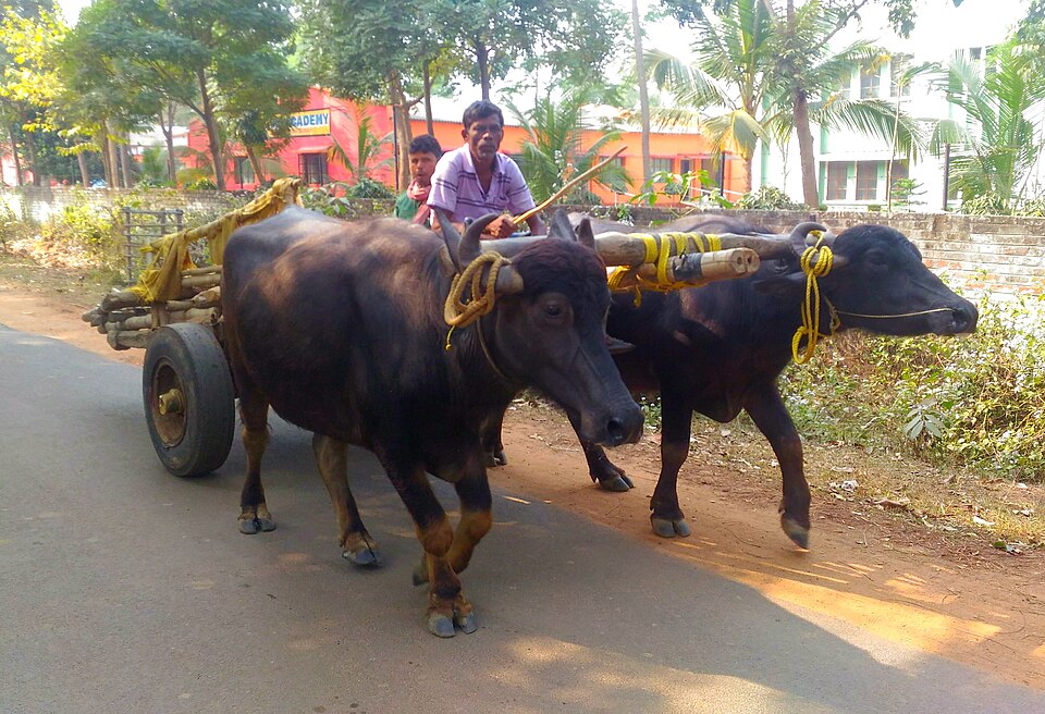 Bishnupur — multi-vendor marketplaces for local businesses